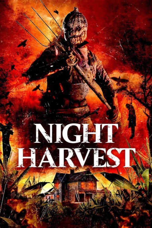 Cosecha Nocturna poster